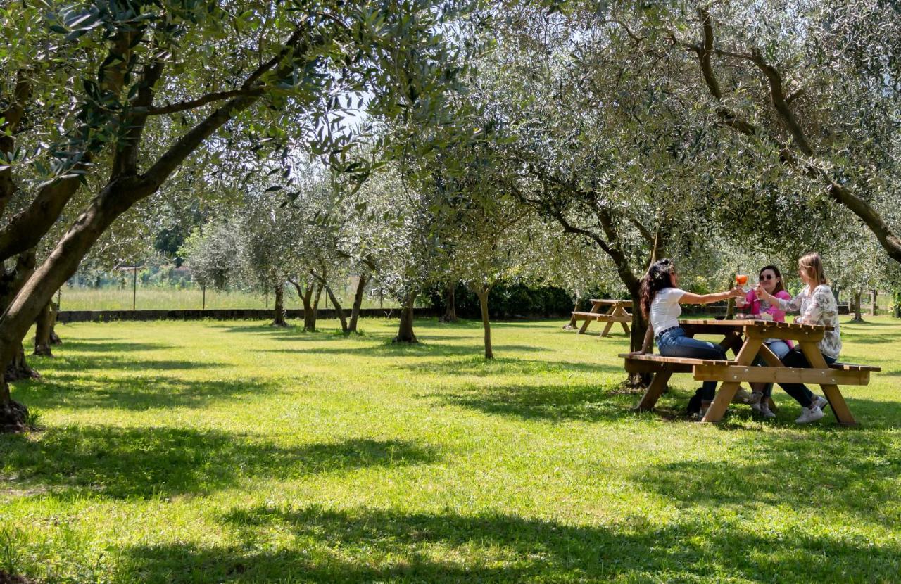 Agriturismo Ca Del Lago กราเวโดนา ภายนอก รูปภาพ