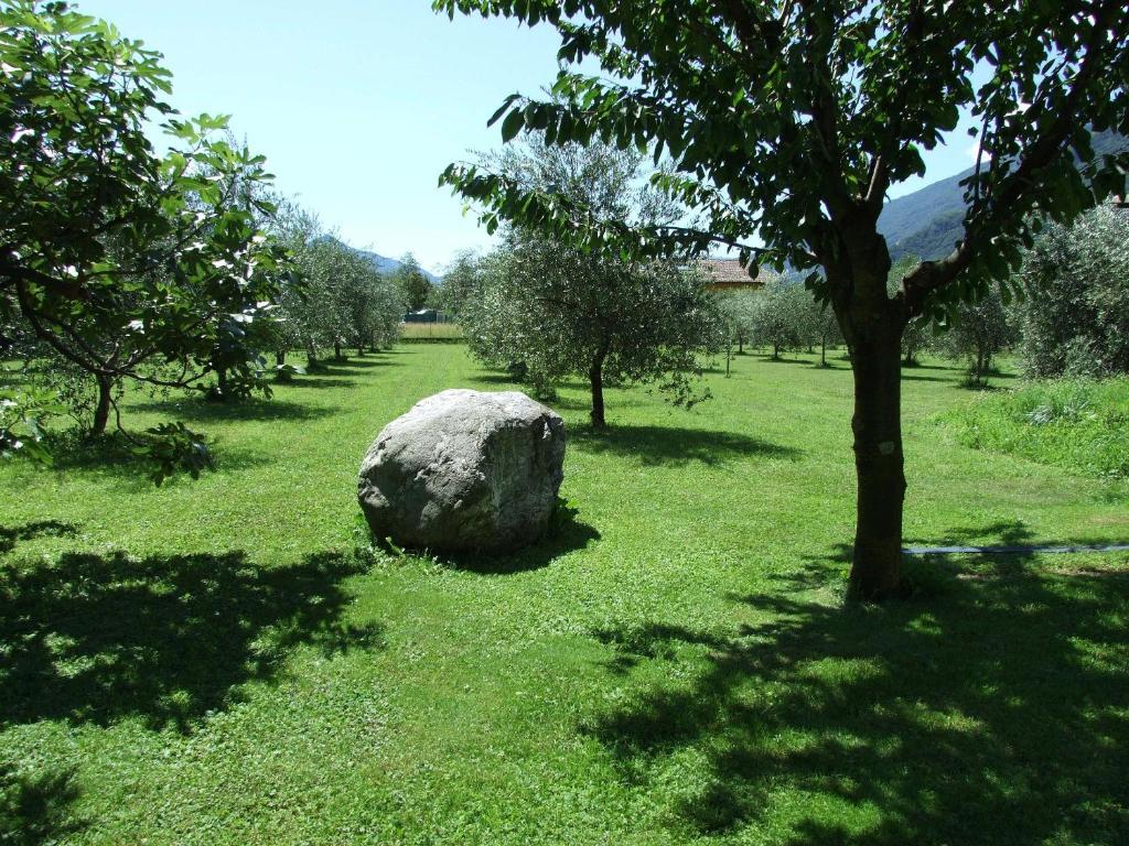 Agriturismo Ca Del Lago กราเวโดนา ภายนอก รูปภาพ
